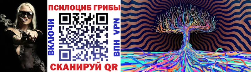 купить сайты Ак-Довурак нарко площадка Telegram Галлюциногенные грибы GOLDEN TEACHER